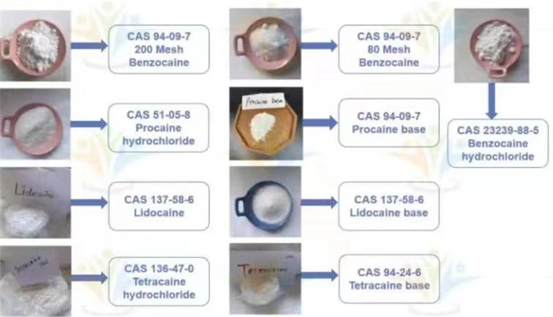 High Quality Natural Chamomile Extract Apigenin Pharmaceutical Intermediate 99% CAS 236117-38-7/ 288573-56-8 /520-36-5 Door to Door